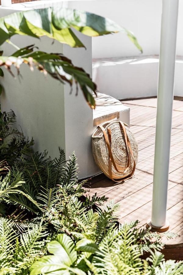 The Bungalows At Bondi Sydney Exteriör bild