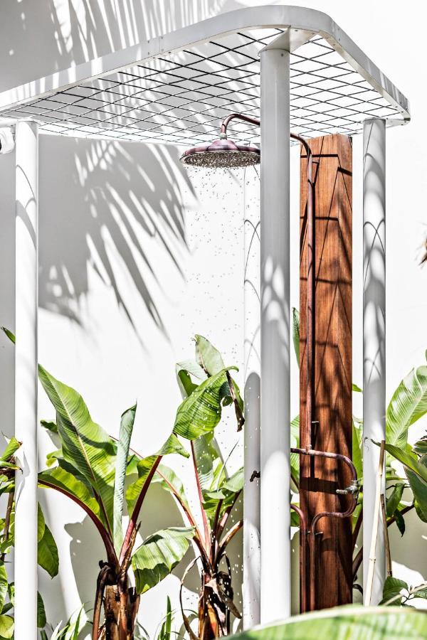 The Bungalows At Bondi Sydney Exteriör bild