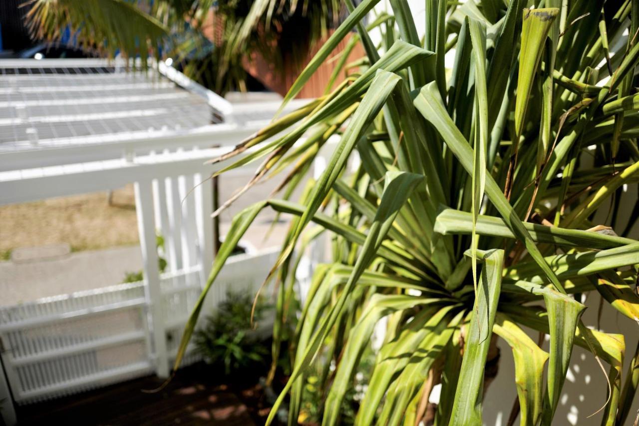 The Bungalows At Bondi Sydney Exteriör bild